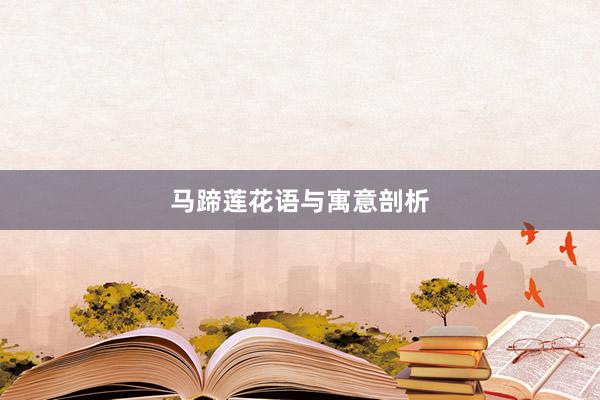 马蹄莲花语与寓意剖析