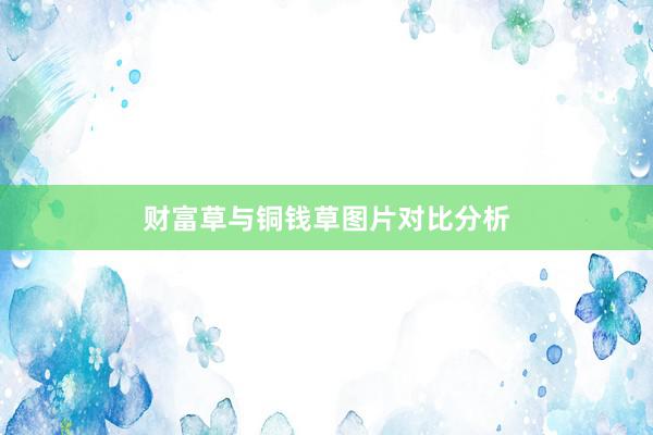 财富草与铜钱草图片对比分析