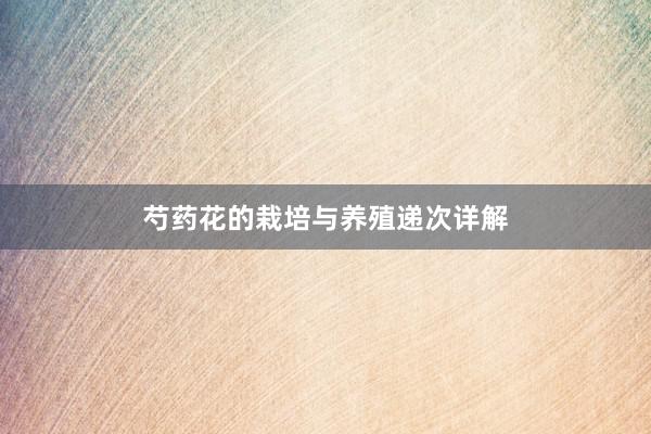 芍药花的栽培与养殖递次详解