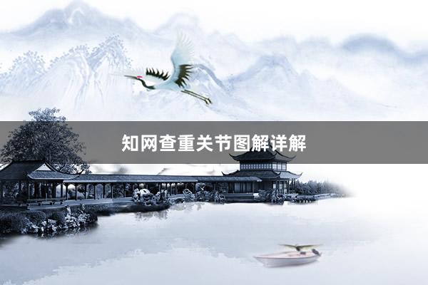 知网查重关节图解详解